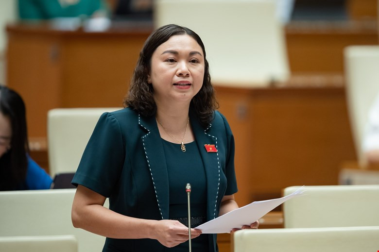 Đại biểu Đặng Bích Ngọc (Hòa Bình) Đại biểu Đặng Bích Ngọc (Hòa Bình)