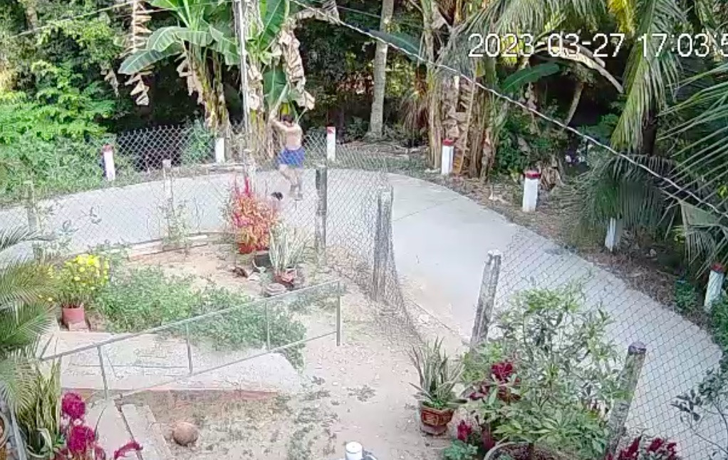 Toàn bộ vụ việc được camera ghi lại. Ảnh chụp màn hình Toàn bộ vụ việc được camera ghi lại. Ảnh chụp màn hình