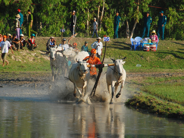 Đua nước rút. Ảnh: Trọng Thịnh
