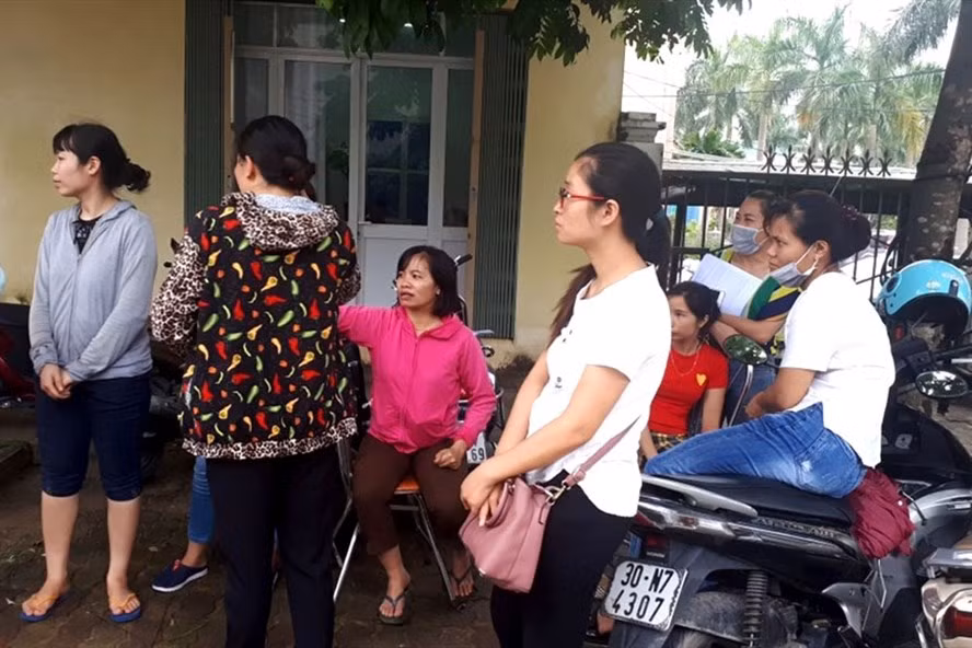 2.700 giáo viên nguy cơ mất việc: Lương thấp tè và bản án ‘chấm dứt hợp đồng' ảnh 8
