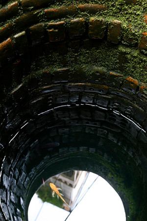 "Giếng sâu hơn một cây tre. Có những thời điểm mất nước, giếng là nguồn cung cấp cho các mấy tuyến phố lân cận" bà Phạm Thị Bắc người sống lâu năm ở đây nói.