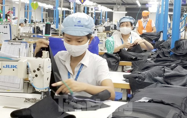 Tám hiệp hội doanh nghiệp đồng kiến nghị cho phép NLĐ nghỉ hưu sớm, với nữ từ 55 tuổi, nam từ 60 tuổi.