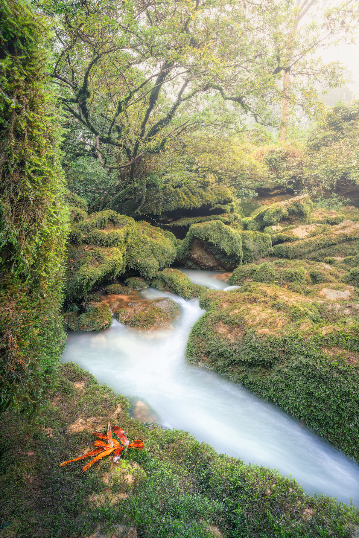Suối Hung Thoòng (nguồn: Cao Ky Nhan - Jungle Boss Tours).