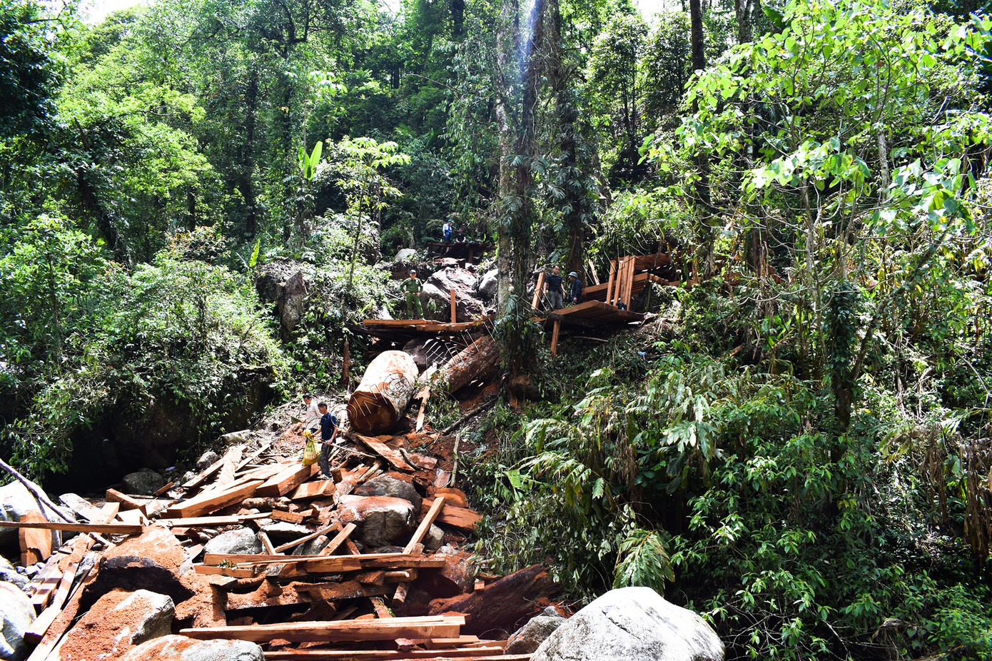 Hiện trường vụ khai thác gỗ trái phép.