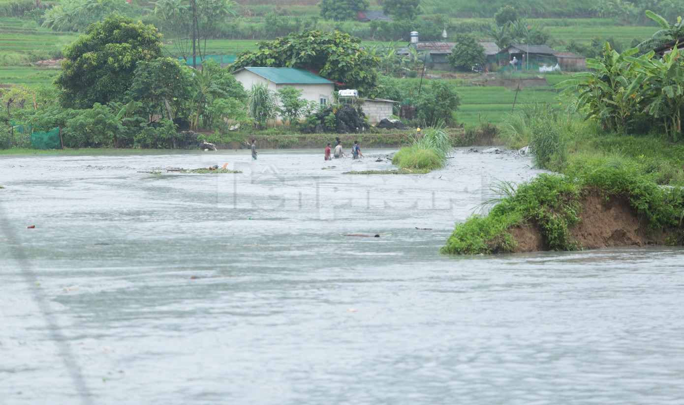 Một số người dân không quản nguy hiểm, vớt vật dụng và các cây gỗ trong khu vực ngập nước.