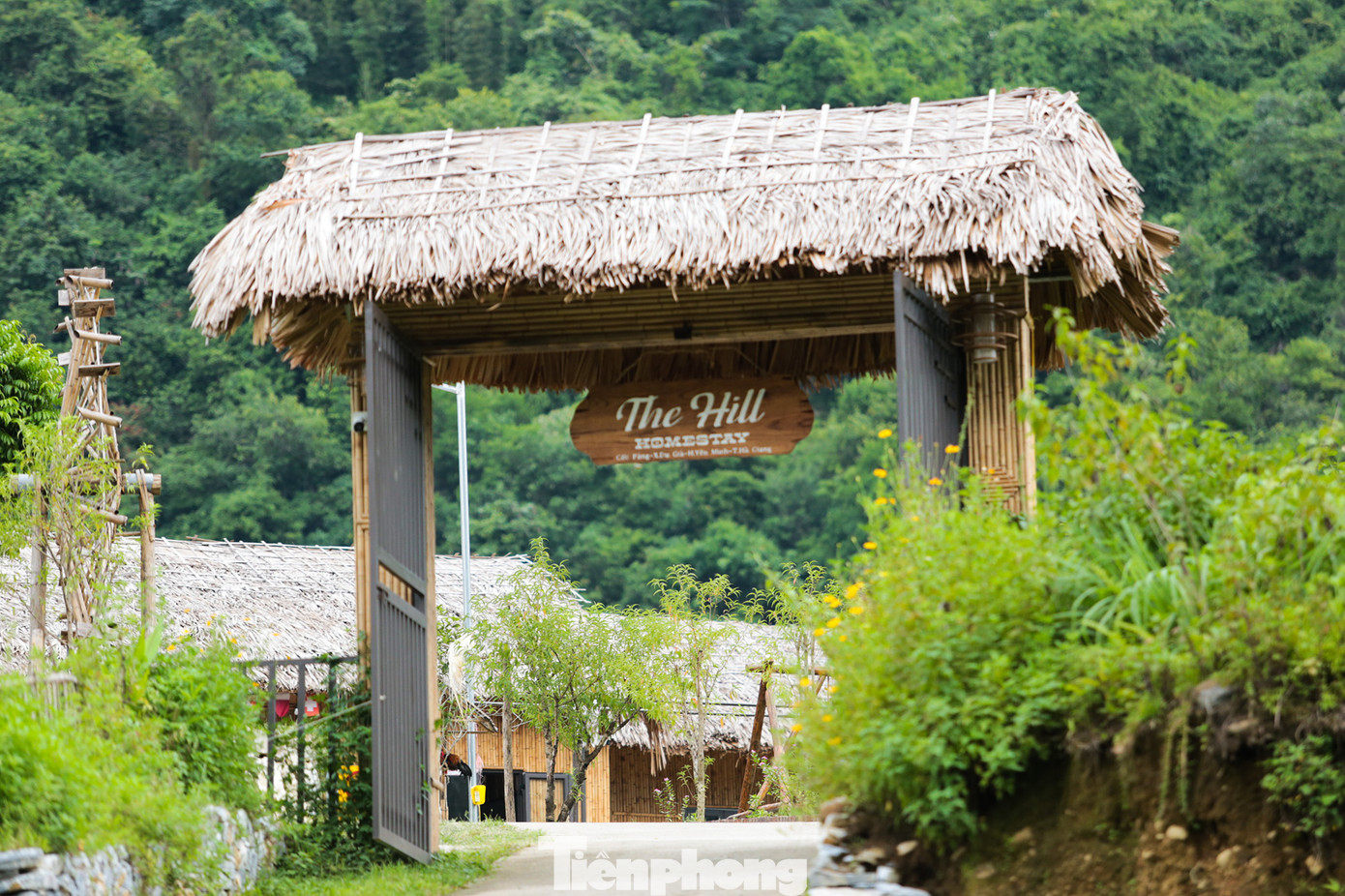 Homestay The Hill tại thôn Cốc Pảng đứng tên ông Vũ Trần Định. Ông Viên Văn Hải, Phó Chánh Thanh Tra huyện Yên Minh cho biết, Định là cháu đằng nhà vợ, và lấy vợ sinh sống tại khu vực Du Già. Cơ quan chức năng xác định, ông Vũ Trần Định xây dựng trái phép nhà sàn, kinh doanh homestay trên đất trồng cây hàng năm khác.