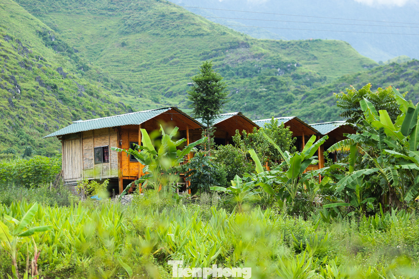 Loạt homestay đứng tên bà Triệu Thị Mới - vợ của ông Nguyễn Đình Quý, Phó Chủ tịch UBND xã Du Già. Theo cơ quan chức năng, công trình này xây trái phép trên đất trồng cây hàng năm khác, diện tích 320 m2. Thời điểm xảy ra vi phạm tháng 2/2018.