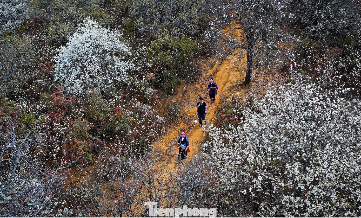 Những chàng trai, cô gái người Mông đi chơi hội trên những con đường nên thơ, trữ tình.