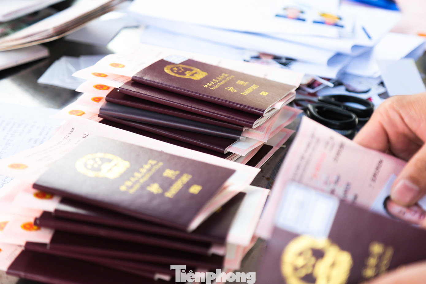 Nhóm du khách đến từ nhiều tỉnh thành của Trung Quốc như Vân Nam, Tứ Xuyên, Chiết Giang, An Huy...