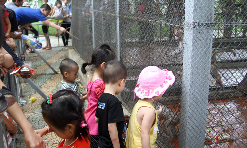 Đã có một số vụ thú trong vườn thú gây hại các bé do sự bất cẩn người lớn. Các phụ huynh quên?