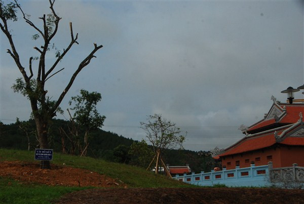 Trước giờ G khánh thành Khu di tích lịch sử Truông Bồn ảnh 3