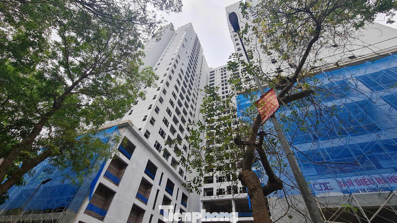 Theo UBND phường Hoàng Liệt, từ năm 2021 đến nay, một số khách hàng mua nhà tại dự án có đơn phản ánh về việc chủ đầu tư chậm bàn giao nhà, vi phạm quy định về kinh doanh bất động sản. Ngày 28/10/2021, Sở Xây dựng làm việc với UBND phường Hoàng Liệt, phòng Quản lý đô thị quận. Tại buổi làm việc, Sở Xây dựng khẳng định dự án Athena Complex Pháp Vân chưa đủ điều kiện đưa vào kinh doanh theo quy định. Việc chủ đầu tư tự ý ký hợp đồng mua bán căn hộ khi chưa đủ điều kiện là vi phạm pháp luật kinh doanh bất động sản năm 2014. Sau đó, Sở Xây dựng và UBND quận Hoàng Mai có văn bản yêu cầu chủ đầu tư khẩn trương thực hiện một số nội dung để giải quyết kiến nghị của khách hàng.