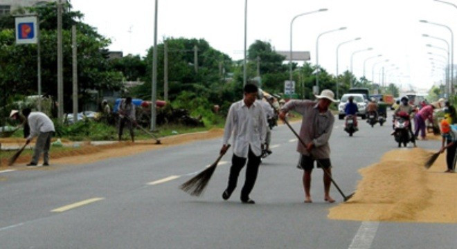 Nhiều địa phương làm đượng rộng để phơi... lúa. Ảnh: Ảnh minh họa Nhiều địa phương làm đượng rộng để phơi... lúa