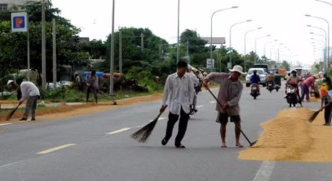 Nhiều địa phương làm đượng rộng để phơi... lúa