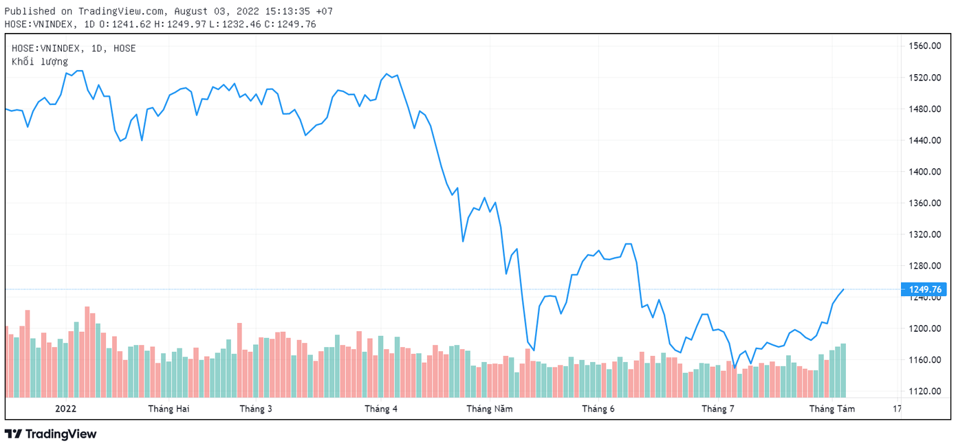 VNIndex giảm điểm mạnh từ đầu năm. Ảnh: TradingView