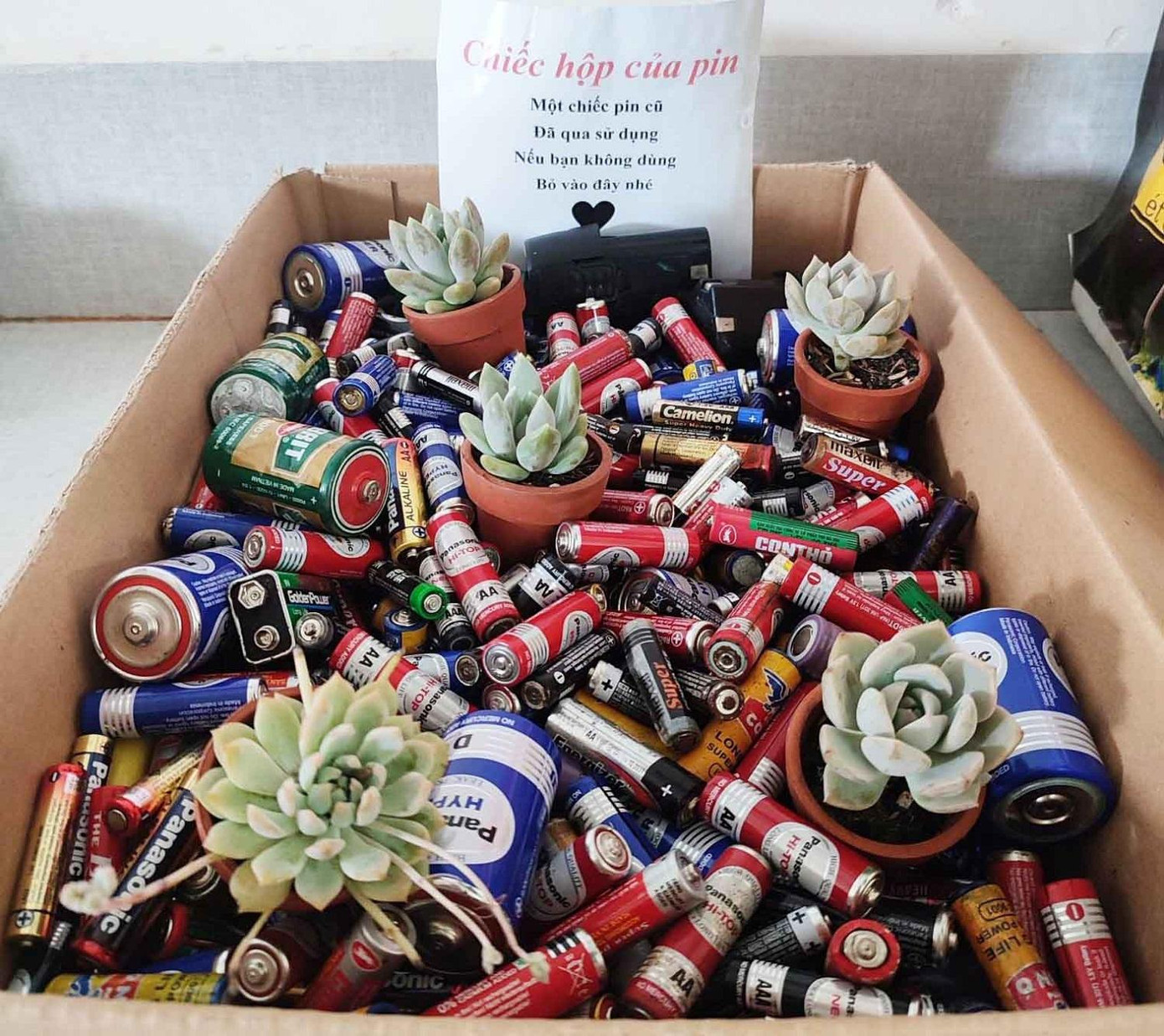 Pin cũ được các thành viên CLB thu gom