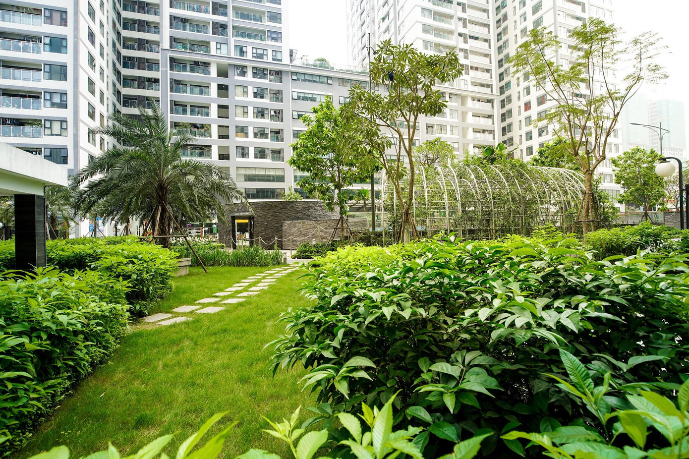 Không gian xanh nội khu dự án Imperia Garden Không gian xanh nội khu dự án Imperia Garden