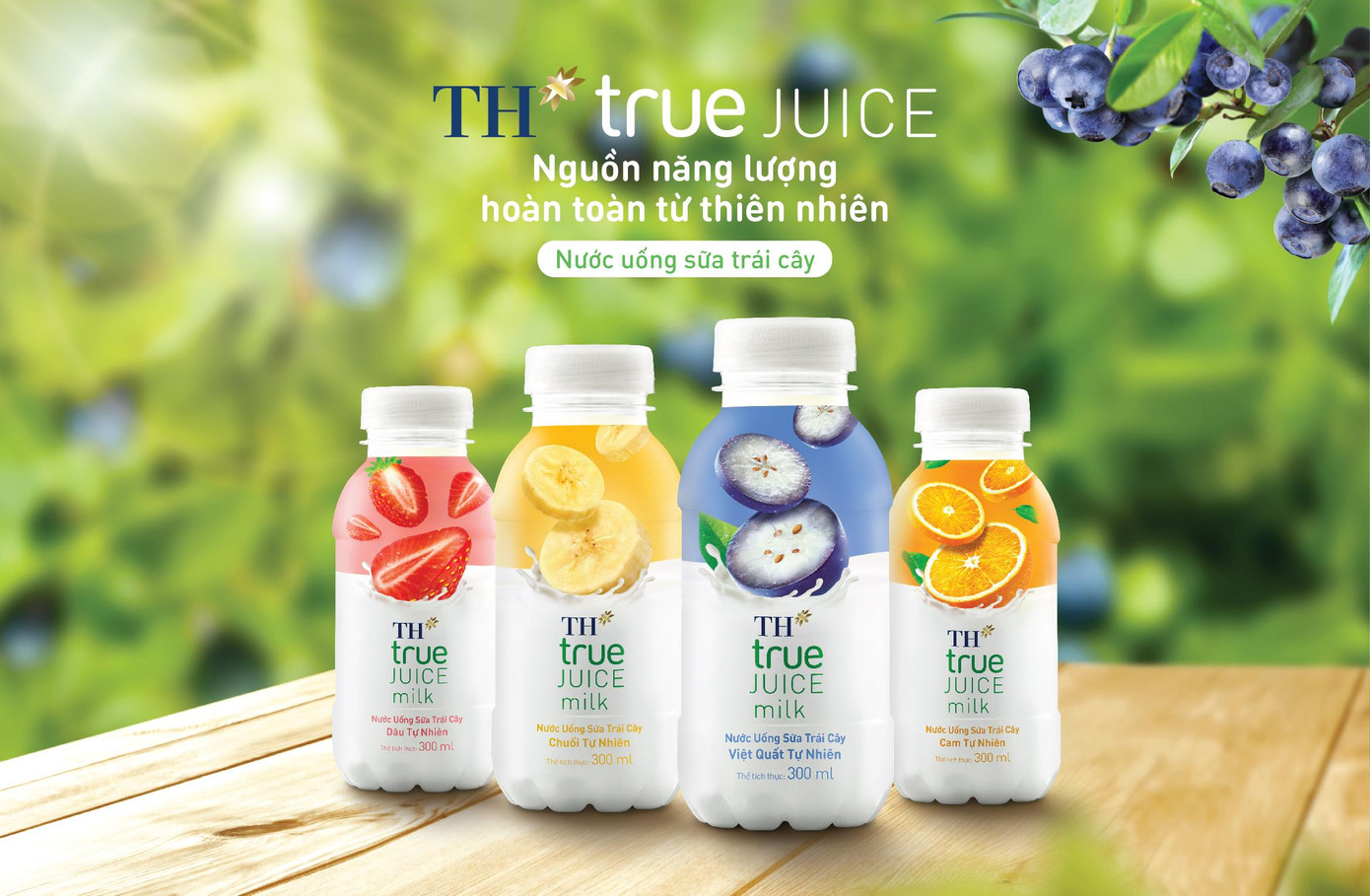 Bộ sản phẩm TH true JUICE milk hiện đã hoàn thiện với 4 hương vị cam – dâu – việt quất – chuối. Bộ sản phẩm TH true JUICE milk hiện đã hoàn thiện với 4 hương vị cam – dâu – việt quất – chuối.