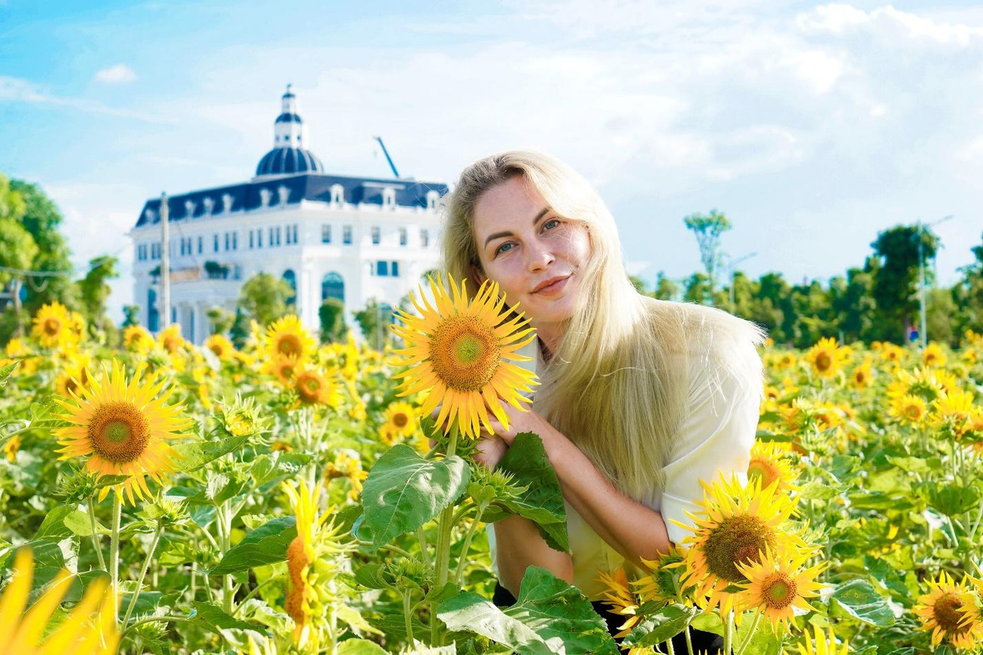 Vườn hoa hướng dương Danko City thu hút cả những du khách nước ngoài tới tham quan, chụp ảnh Vườn hoa hướng dương Danko City thu hút cả những du khách nước ngoài tới tham quan, chụp ảnh