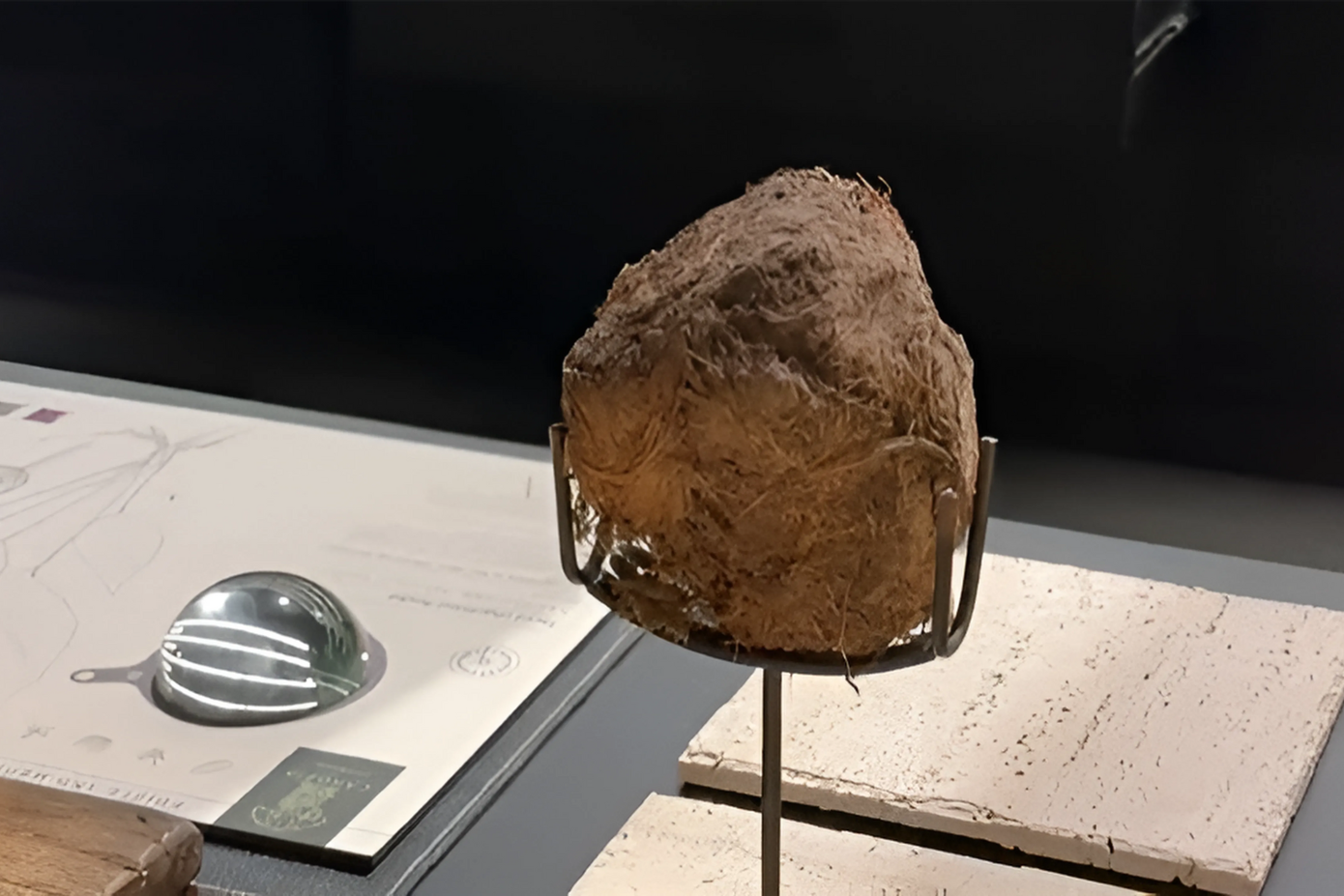 "Nguyên liệu tươi" khiến netizen Trung Quốc cảm thấy hoang mang: "Đúng là cách người giàu tiêu tiền". "Nguyên liệu tươi" khiến netizen Trung Quốc cảm thấy hoang mang: "Đúng là cách người giàu tiêu tiền".