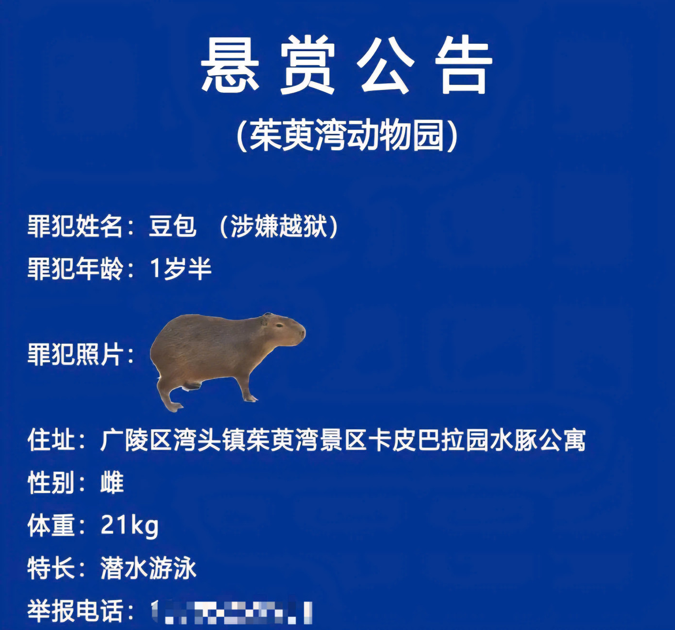 Một người dùng mạng bình luận: "Những chú bé hư hỏng này thật là quá biết chơi bời rồi".