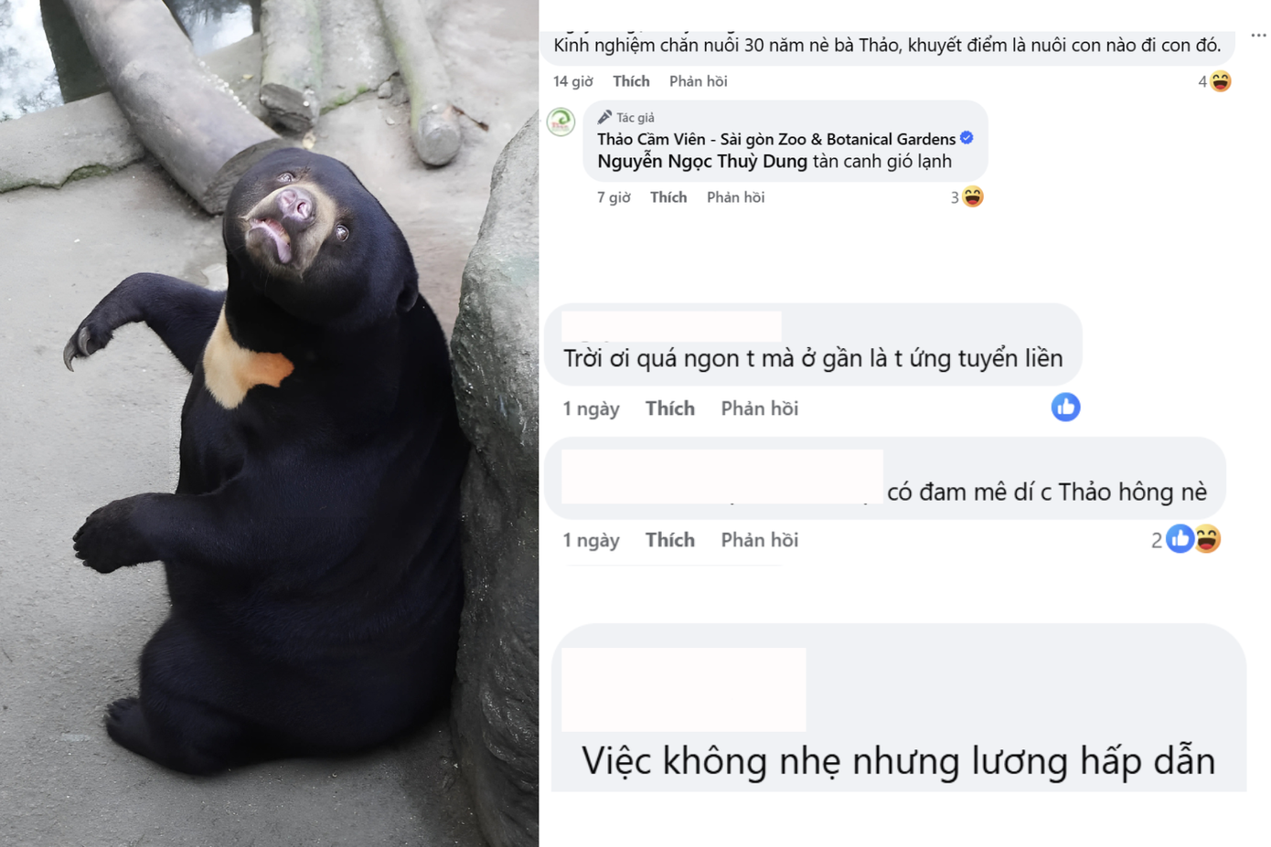 Những bình luận của ứng viên khiến "bà Thảo" nhân sự lặng người. Những bình luận của ứng viên khiến "bà Thảo" nhân sự lặng người.