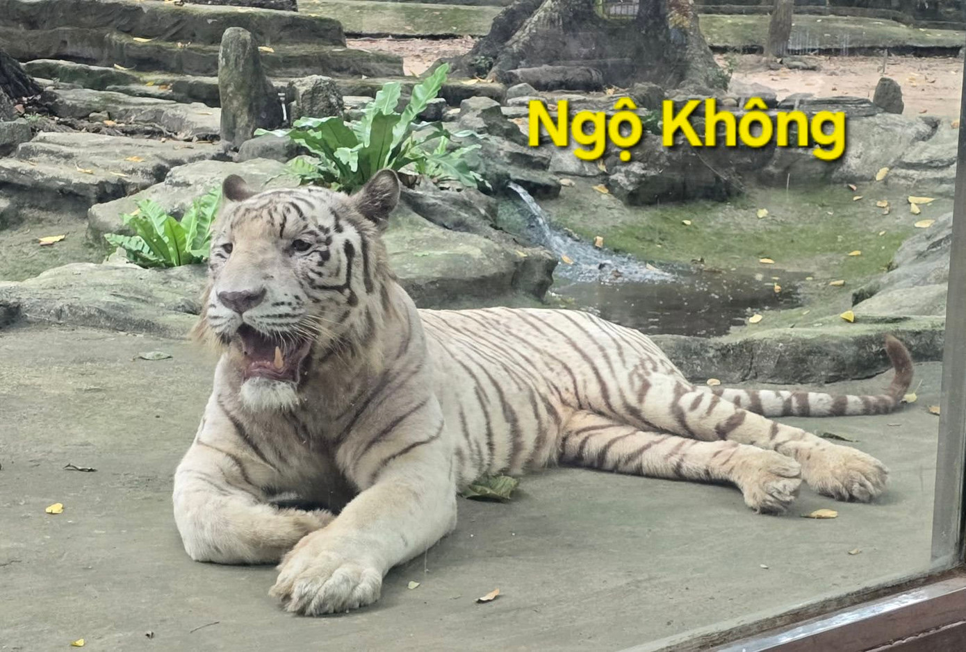 Ảnh: Thảo Cầm Viên - Sài Gòn Zoo &amp; Botanical Gardens