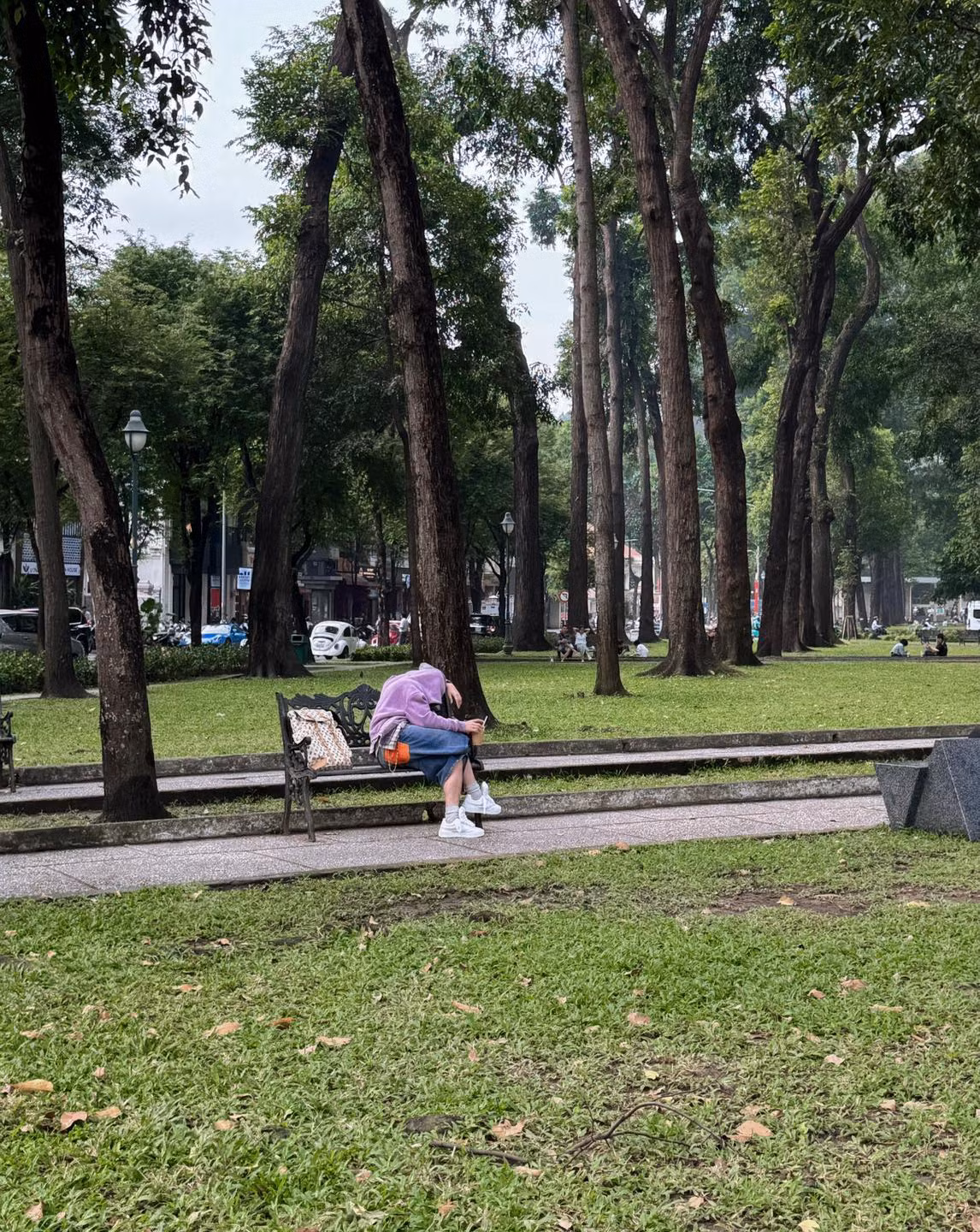 Nỗi buồn của "sếp": "Vật vờ như chiếc lá cuối thu" chờ fan mà mãi chẳng thấy ai.