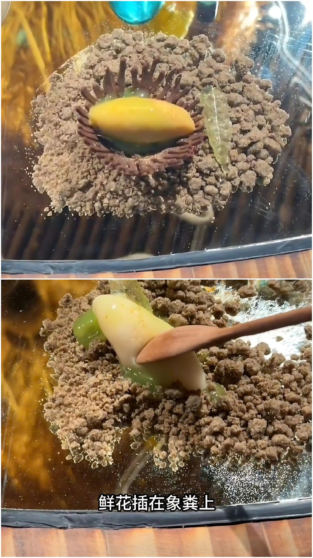 Món tráng miệng được nhà hàng giải thích là "an toàn". Món tráng miệng được nhà hàng giải thích là "an toàn".