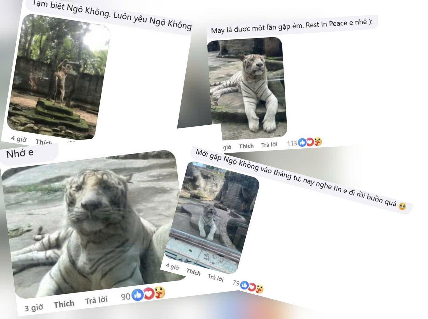 Nhiều du khách để lại những ảnh chụp lưu giữ kỉ niệm cùng Ngộ Không.