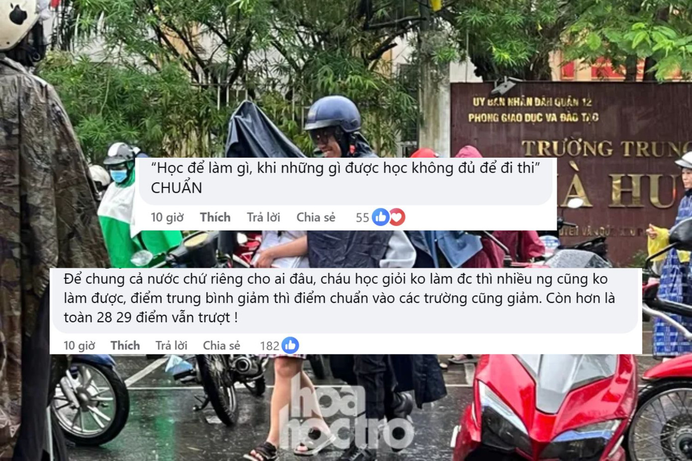 Một bình luận về nội dung tâm thư: "Chẳng lẽ học sinh giỏi tỉnh mà sợ không đọ được với học sinh bình thường à?". Một bình luận về nội dung tâm thư: "Chẳng lẽ học sinh giỏi tỉnh mà sợ không đọ được với học sinh bình thường à?".