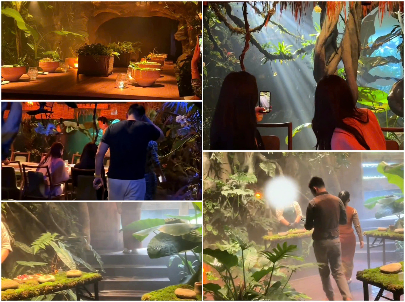 Không gian đặc biệt của nhà hàng tạo cảm giác rất rừng rú. Không gian đặc biệt của nhà hàng tạo cảm giác rất rừng rú.
