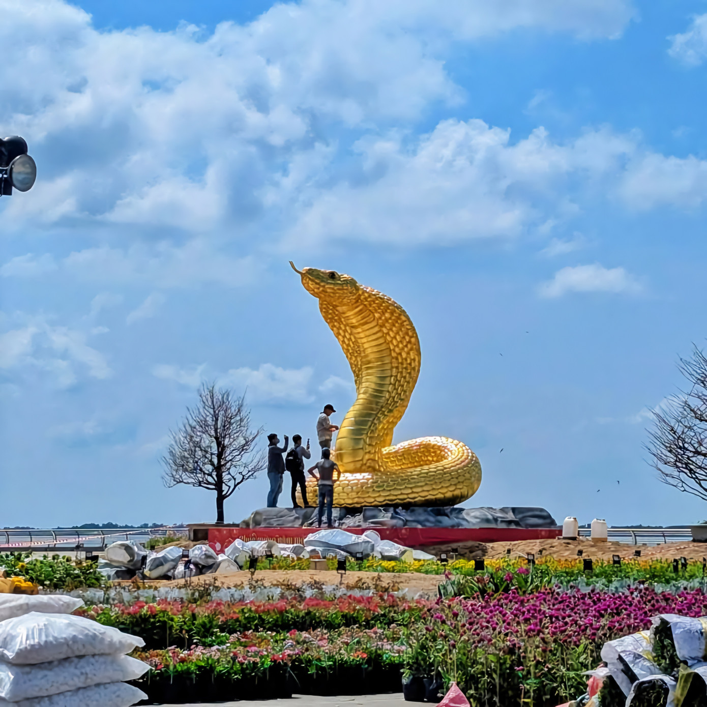 Linh vật Kiên Giang "sang xịn mịn" với màu vàng tài lộc nổi bật, hiện đang được hoàn thiện tại quảng trường Phú Gia, với chiều cao lên đến 7m. - Ảnh: Rạch Giá Tân Thời. Linh vật Kiên Giang "sang xịn mịn" với màu vàng tài lộc nổi bật, hiện đang được hoàn thiện tại quảng trường Phú Gia, với chiều cao lên đến 7m. - Ảnh: Rạch Giá Tân Thời.