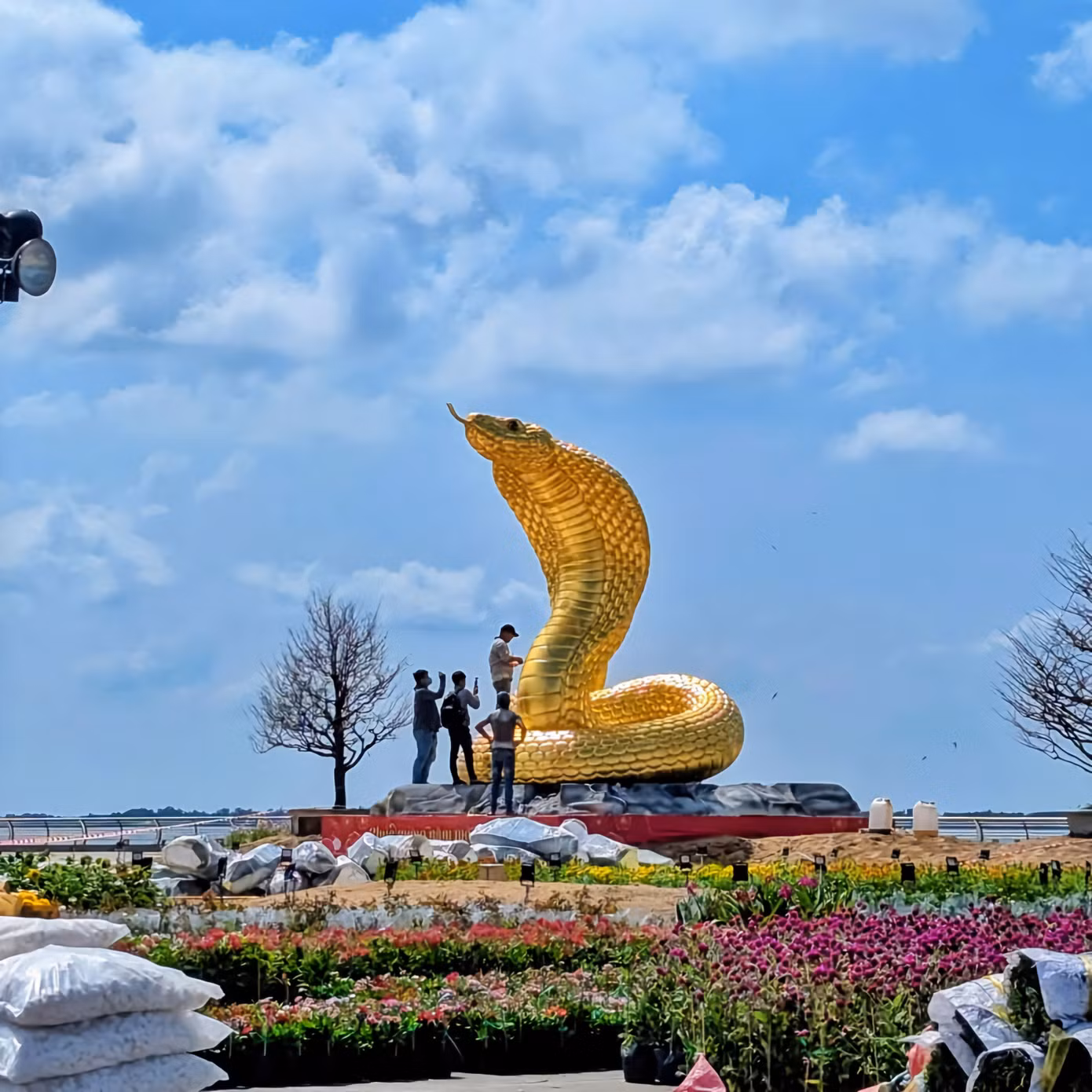 Linh vật Kiên Giang "sang xịn mịn" với màu vàng tài lộc nổi bật, hiện đang được hoàn thiện tại quảng trường Phú Gia, với chiều cao lên đến 7m. - Ảnh: Rạch Giá Tân Thời. Linh vật Kiên Giang "sang xịn mịn" với màu vàng tài lộc nổi bật, hiện đang được hoàn thiện tại quảng trường Phú Gia, với chiều cao lên đến 7m. - Ảnh: Rạch Giá Tân Thời.
