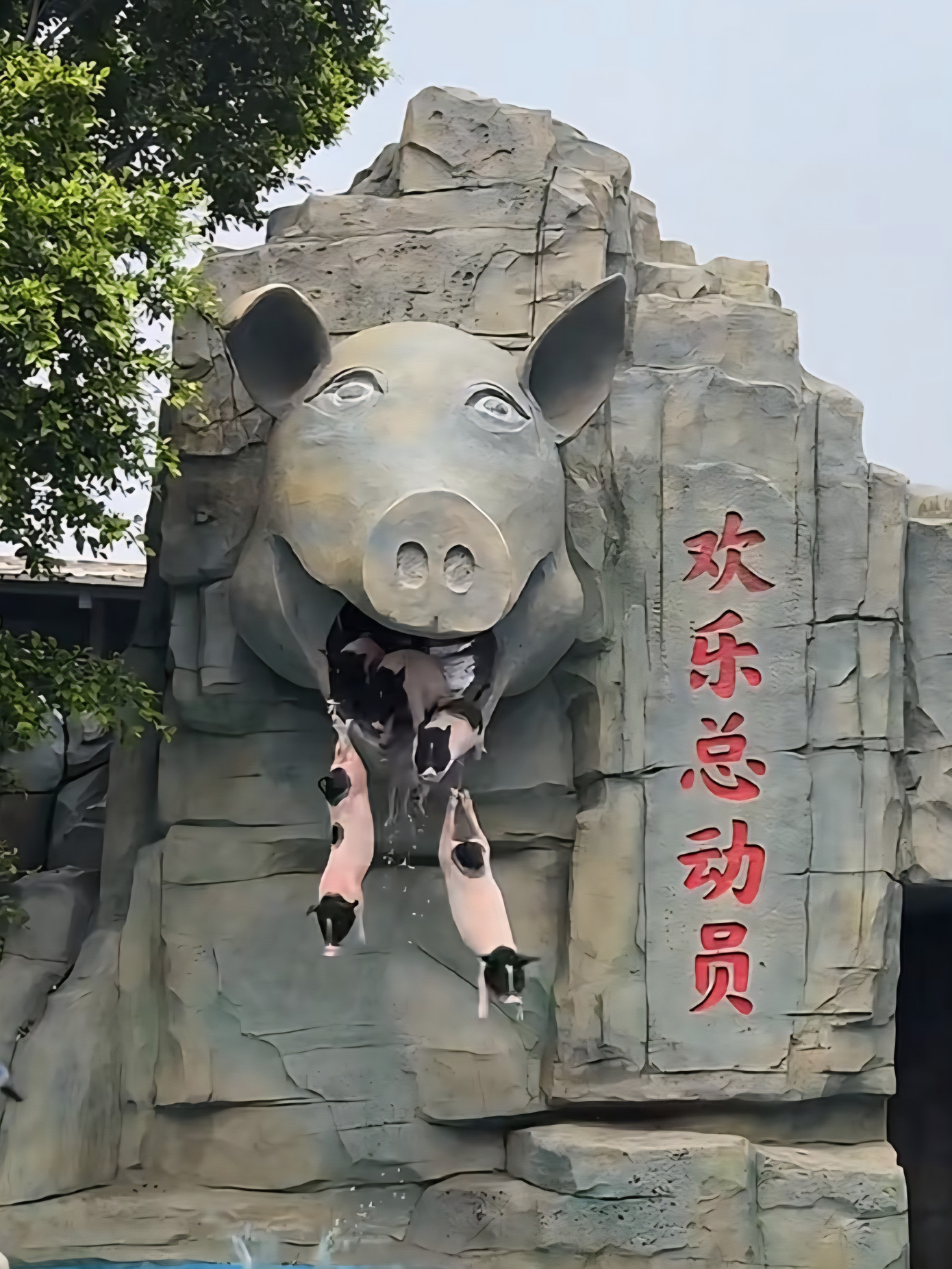 "Tôi đã thấy được cảnh Lão Trư trượt nước", một người dùng bình luận. "Tôi đã thấy được cảnh Lão Trư trượt nước", một người dùng bình luận.