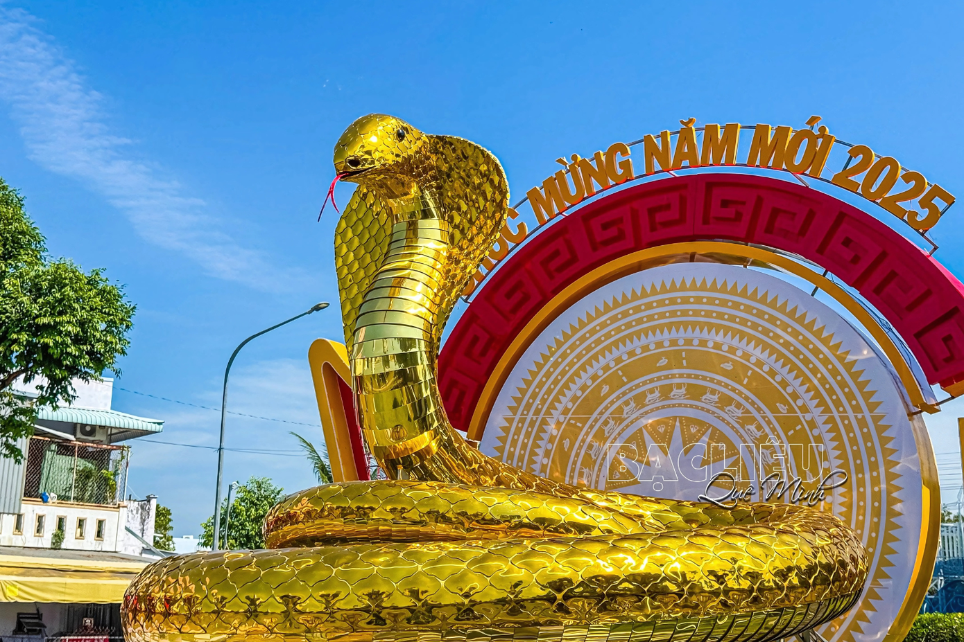 Chị em của "bé Na" Đà Nẵng, "bé Na" Bạc Liêu, khoác lên mình màu vàng cao quý, toát lên vẻ sang trọng và quyền lực. - Ảnh: Bạc Liêu Quê Mình. Chị em của "bé Na" Đà Nẵng, "bé Na" Bạc Liêu, khoác lên mình màu vàng cao quý, toát lên vẻ sang trọng và quyền lực. - Ảnh: Bạc Liêu Quê Mình.