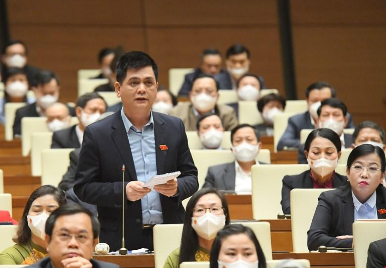 Đại biểu Nguyễn Lâm Thành Đại biểu Nguyễn Lâm Thành