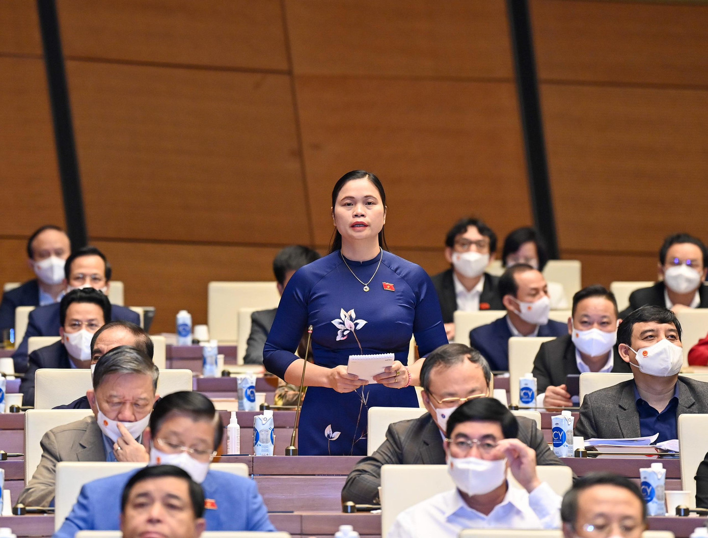 Đại biểu Ma Thị Thúy Đại biểu Ma Thị Thúy