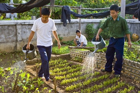 Tăng gia cải thiện đời sống ở đảo Trường Sa Lớn. Tăng gia cải thiện đời sống ở đảo Trường Sa Lớn