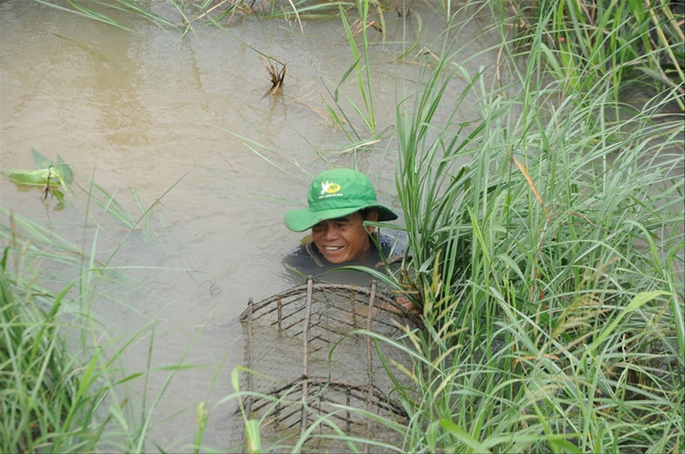 Thăng trầm mùa nước nổi ảnh 2