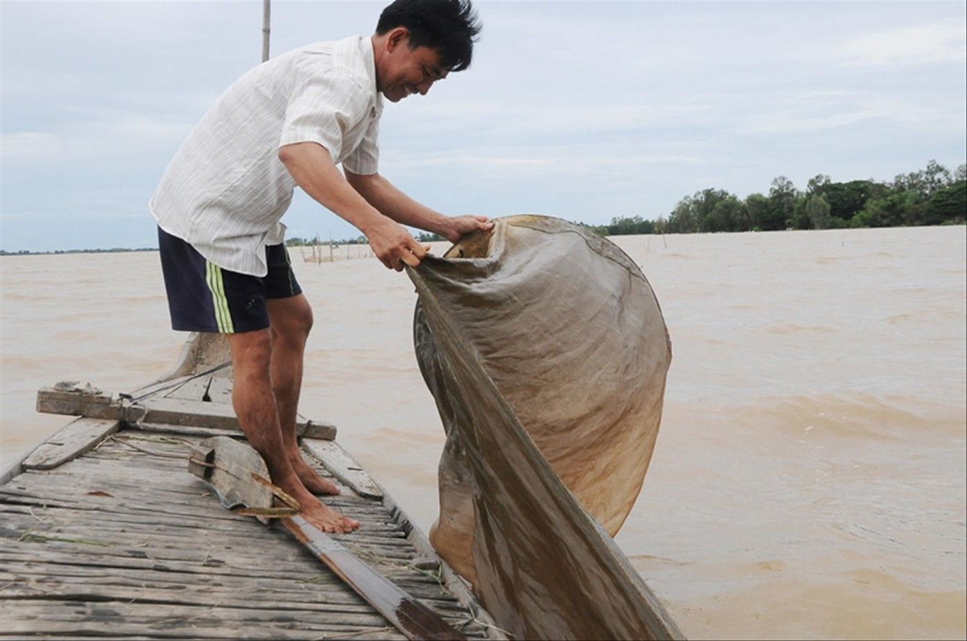 Thăng trầm mùa nước nổi ảnh 1