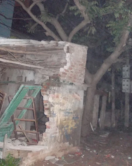 Phía trước ngôi nhà là một cây gạo lớn