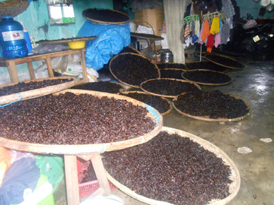 Đặc sản mứt Nam Ô được đánh đổi bằng mồ hôi nước mắt của những phụ nữ tần tảo 