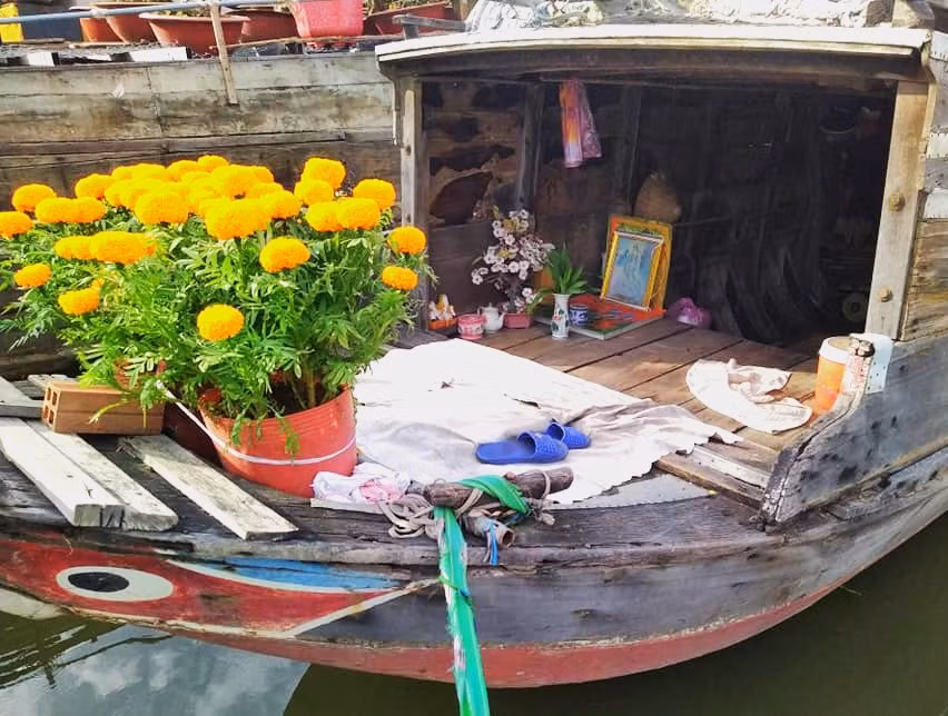 Những người trên ghe vẫn còn đi buôn bán mưu sinh. Chiều cuối năm, trên con thuyền cũ đã có vài chậu bông cúc đón giao thừa. Những người trên ghe vẫn còn đi buôn bán mưu sinh. Chiều cuối năm, trên con thuyền cũ đã có vài chậu bông cúc đón giao thừa.