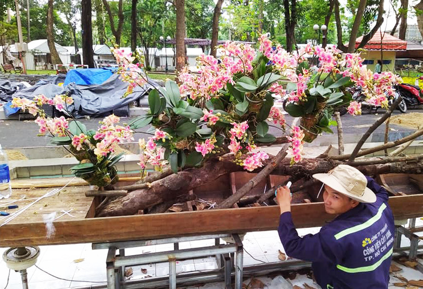 Chiếc thuyền hoa sắp &quot;hạ thủy&quot;