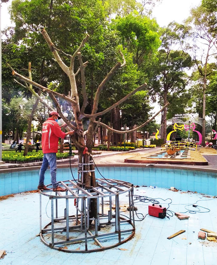 Một cây hoa khổng lồ đang dần hình thành