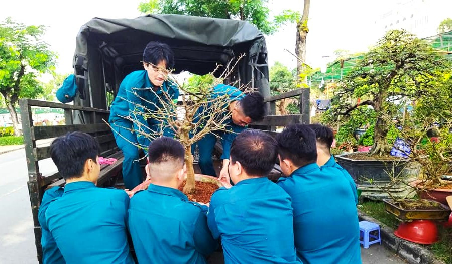 Một nhóm dân phòng tới chợ hoa để "thuê cây mai về chưng Tết tại đơn vị chứ không mua vì giá mai khá cao".