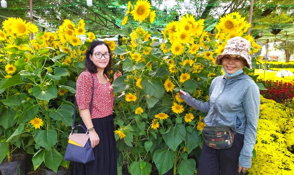 Chị Vân (phải) nói: "Hoa hướng dương Phan Thiết màu sắc rực rỡ. Mong mọi người ủng hộ người trồng hoa Phan Thiết".