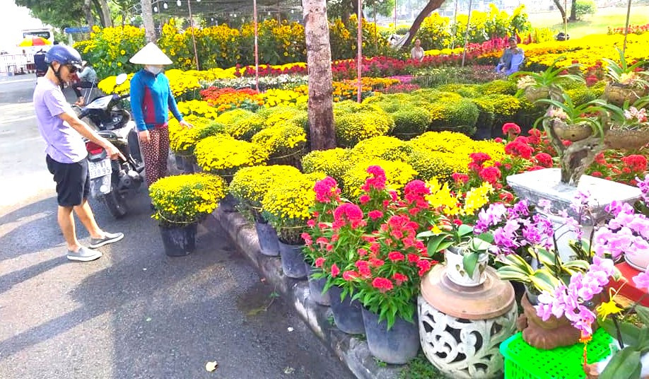 Những chậu hoa nhỏ, giá cả phải chăng dễ tiêu thụ hơn.