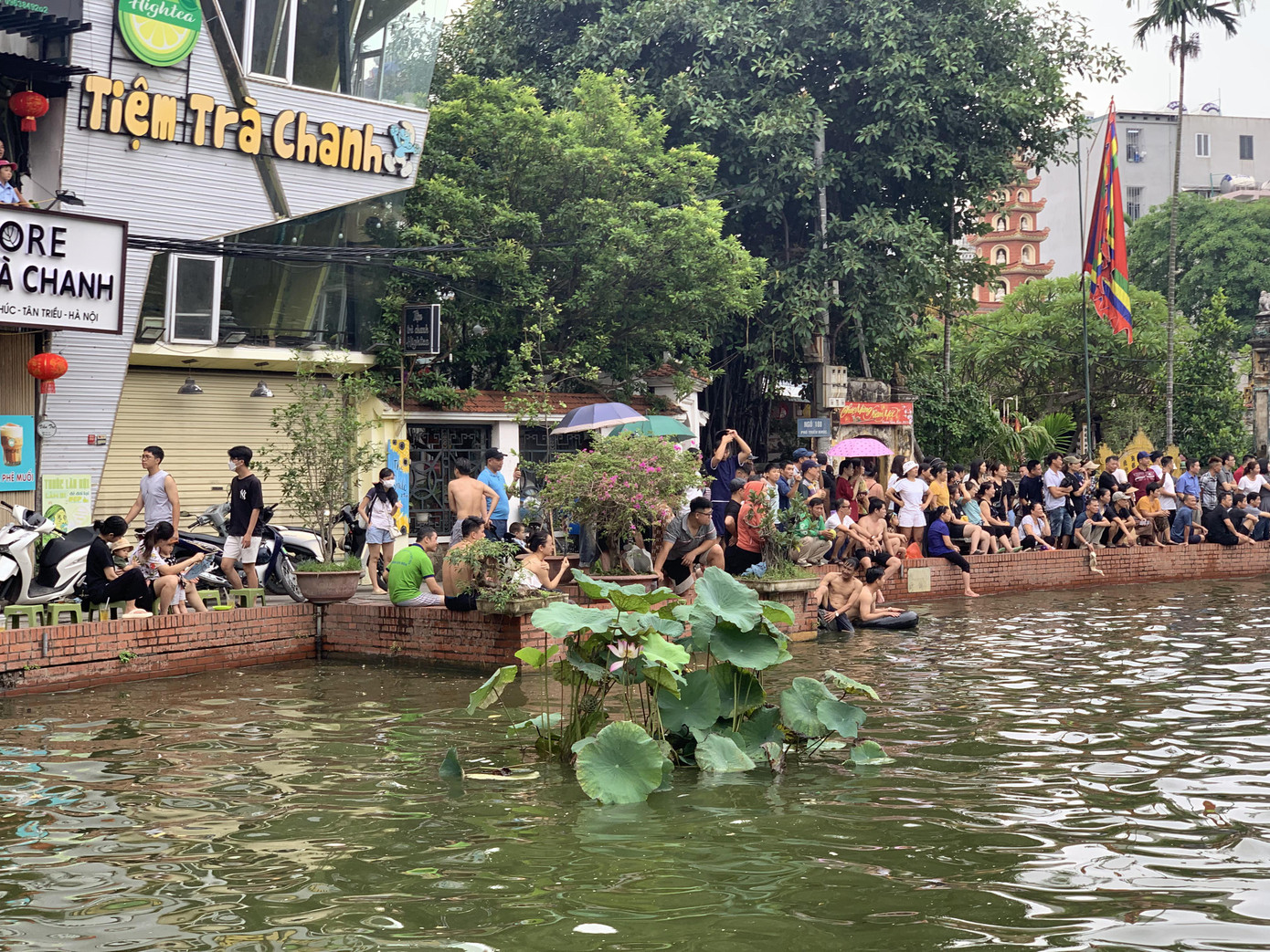 Vịt đã bắt hết, bưởi, dừa đã vớt hết nhưng dân làng và du khách dùng dằng chưa muốn về, vẫn thích thú ngồi xem các nam thanh niên trổ tài bơi lặn, ngắm sen nở trên mặt ao Chùa.